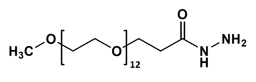 mPEG12-Hydrazide