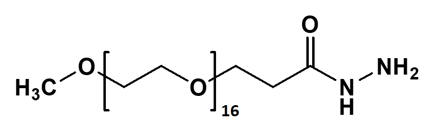 mPEG16-Hydrazide