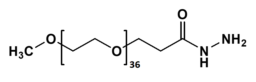 mPEG36-Hydrazide