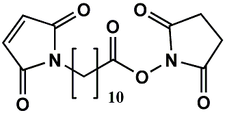 Maleimide-(CH2)10-COONHS