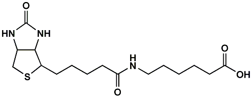 (+)-Biotin-LC