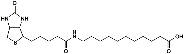 (+)-Biotin-SLC