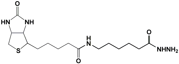 (+)-Biotin-LC-Hydrazide