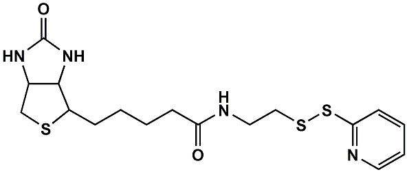 (+)-Biotin-NH-CH2CH2-S-S-pyr