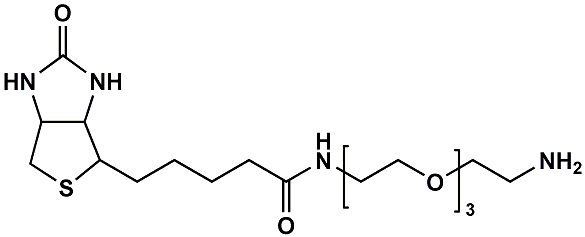 (+)-Biotin-PEG3-CH2CH2NH2