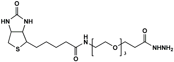 (+)-Biotin-PEG3-Hydrazide