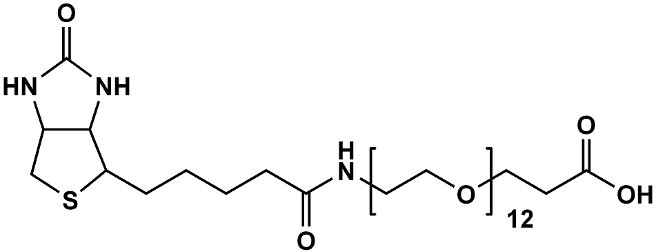 (+)-Biotin-PEG12-CH2CH2COOH