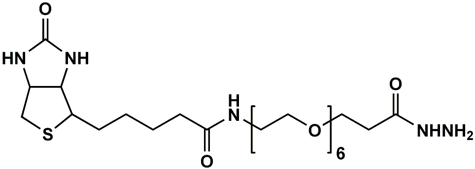 (+)-Biotin-PEG6-Hydrazide