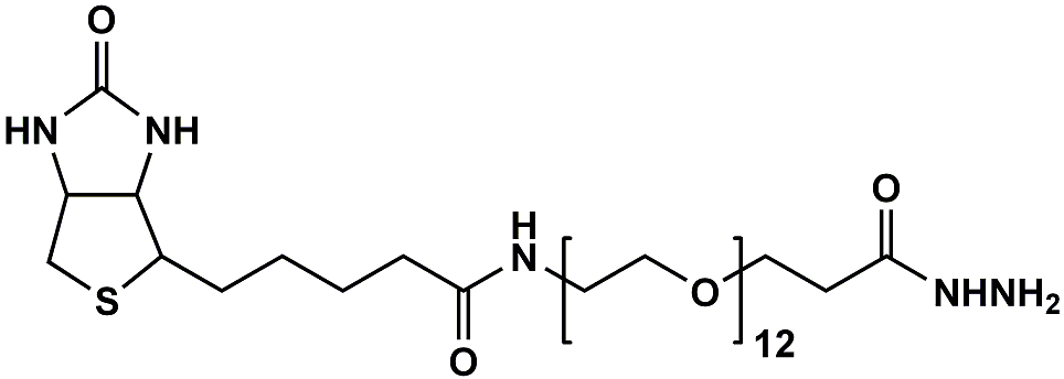 (+)-Biotin-PEG12-Hydrazide