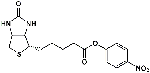 (+)-Biotin-ONP