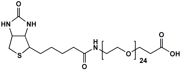 (+)-Biotin-PEG24-CH2CH2COOH