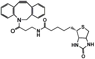 DBCO-Biotin
