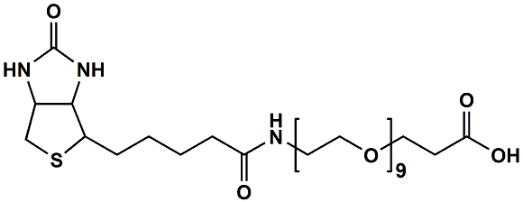 (+)-Biotin-PEG9-CH2CH2COOH